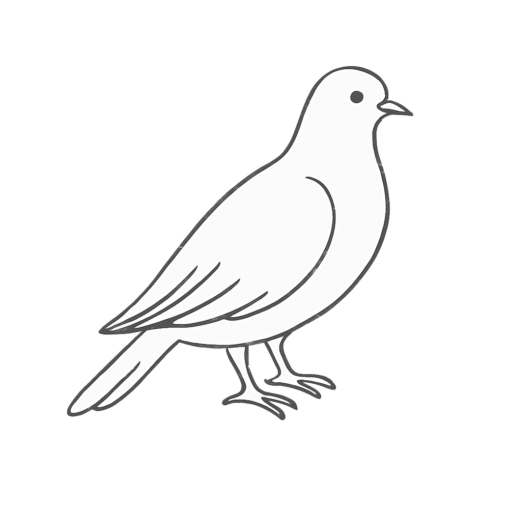 scrolling contnet image